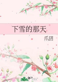 下雪的那天