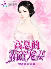高先生的漫漫情深